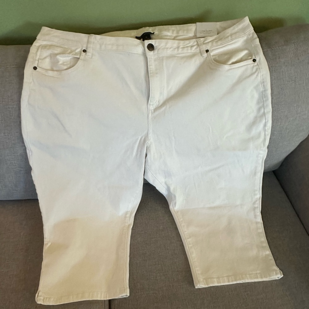 Lane Bryant White Cropped Pedal Pants